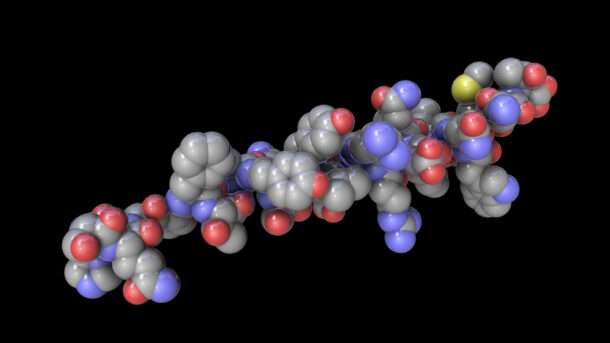Where to Buy Peptides for Muscle Growth Has a Hidden First Question Which of Three Different Products Are You Actually Buying